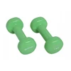 Svarmenys Schildkrot Fitness, dengti vinilu, 2x1 kg