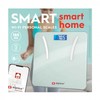 Svarstyklės išmanios 300x300 mm 8 žmonėms SMART HOME ALPINA 871125226524