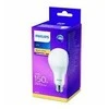 Šviesos diodų lemputė PHILIPS, A80, 17,5 W, E27, 2500lm, 2700K, atitinka 150W