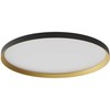 50W LED paviršinis/pakabinamas šviestuvas DAMA, juodos/aukso sp., 3000/4000/5000K, 60cm, 01-3751