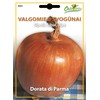 Svogūnų sėklos DORATA DI PARMA, 2,2 g