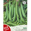 Svogūnų sėklos DORATA DI PARMA, 2,2 g
