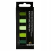 Talens Rembrandt sausų pastelų rinkinys "lush Greens", 5 spalvos