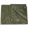 TARP Camping Tarp Survival Apsauginis Tentas 1,9x3 m Survival Strong