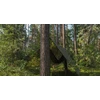 TARP TENT SHAP RINKINYS ROPE PARACORD 30M CAMO SURVIVAL BUSHCRAFT 2x3M
