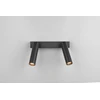 Taškinis LED šviestuvas TRIO AMBALA, 2x5W, 2300/3000/4000K 2x500 lm juodos sp 16,5x15x4cm