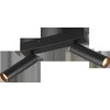 Taškinis LED šviestuvas TRIO AMBALA, 2x5W, 2300/3000/4000K 2x500 lm juodos sp 16,5x15x4cm