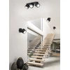 Lubinis šviestuvas Šviestuvas Trio TAURUS, nukreipiamasis, 5 W, LED, 652910232