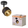 Sieninis šviestuvas SPOT HORNET, E14, juodos/aukso sp., su 2,8W 2700K LED lempute