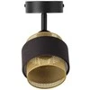 Sieninis šviestuvas SPOT HORNET, E14, juodos/aukso sp., su 2,8W 2700K LED lempute