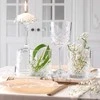 Stiklinės Timeless Pasabahce 330ml/4vnt.