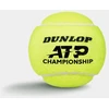 Teniso kamuol. DUNLOP ATP CHAMPIONSHIP 3PET ITF