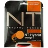 Stygos tenisui Dunlop NT HYBRID oranžinė. 1,35/1,27 mm