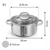 TESCOMA PLIENINIS PUODAS SU DANČIU DUJINĖS INDUKCIJOS SteelCRAFT 20 cm, 3 L