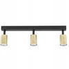 TK Lighting lubinis šviestuvas Top
