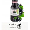 Tocznia Szymanowice 100% natūralios juodųjų serbentų sultys, spaustos, 300ml