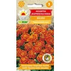 Toraf Flowers medetka[1g]