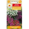 „Toraf Flowers Patunia“ kabančių balkonų mišinys 0,3 g