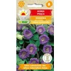 TORAF Kobea vienmetis vijoklis, violetinis [6 vnt.], 1 pakuotė.
