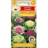Toraf Kopūstų sėklos 0.5g Kale