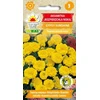 Toraf medetkų sėklos GYPSY SUNSHINE 1 g