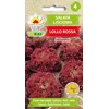 Toraf sėklos lapinės salotos (ankstyvos)s 1g Lollo Rossa