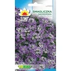 Toraf Violetinė Alyssum sėklos 0,5 g