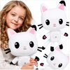 Toys GABI KATĖS NAMAS PLIUSINIS MASKOTAS KITTY PANDA RINKINYS IŠ PASAKOS GLOBIMO ŽAISLIO