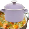TRADICINIS PUODAS SRIUBAI 6.75L 24CM METALAC PURPURINIS EMALIS KIETOS INDUKTŪROS