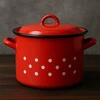 Tragar Emaliuotas plieno puodas su dangteliu ir rankenomis Tradicinis 24cm raudonas 8L
