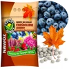 Trąšos „Garden Start“ rudens mėlynėms, acidofilinės, 2kg