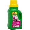 Trąšos orchidėjoms ASB Greenworld 250ml