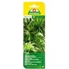 Trąšų lazdelės žaliesiems augalams ASB Greenworld 30vnt.