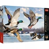 Dėlionė Trefl Puzzle Premium Plus Quality 1000 vnt. Didžiosios antys skrydžio metu