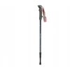 Trekingo lazdos Robens Keswick T6