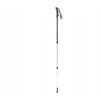 Trekingo lazdos Robens Keswick T6