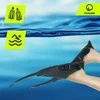 TSUNAMI L/XL tamsiai mėlyni plaukmenys