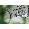 U formos spyna - AXA - Newton UL - 300 mm - Manille Ø14 mm - Saugumo lygis 8