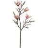 Uniglob Nežinomas Dirbtinė gėlė, magnolija Splendid Magnolia, 59 cm