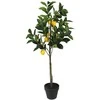 Uniglob Dirbtinis augalas vazone 90cm citrinmedis