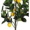 Uniglob Dirbtinis augalas vazone 90cm citrinmedis