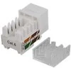 UTP Cat6 kabelių jungtis, neekranuota, 90 laipsnių, 22-26AWG DELTACO / MD-111