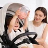 Vaikiškas buteliukas mokantis gerti, neišsiliejantis buteliukas su šiaudeliu Casno 240 ml 6m+