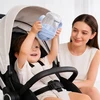 Vaikiškas buteliukas, nepralaidus vandens butelis su šiaudeliu, Tritan be BPA Casno 240 ml, 6m