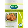 Valgomųjų pomidorų ANANAS sėklos, 0,1 g