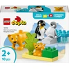Playgo Sunampsea PLAYGO vandens trasa, 5420