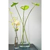 Vaza Carly Mica Ø19cm H48cm stiklinė