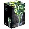 Vaza Saphir Ø18cm H27cm stiklinė