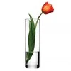 Vaza stiklinė skaidri D8xH26,5 cm FLORA Pasabahce 74759