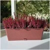 Vazonas LIBERTY lovelis su vand. rez. 9 L 50x18x16 cm ruda sp. 87569 STEFANPLAST